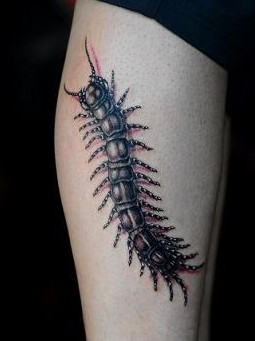 浦东纹身|蜈蚣纹身|蜈蚣纹身图案